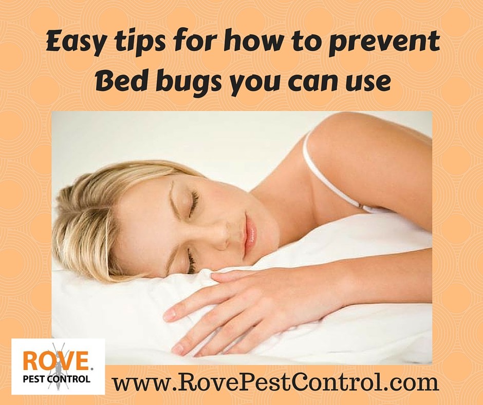 How To Stop Bed Bugs From Climbing