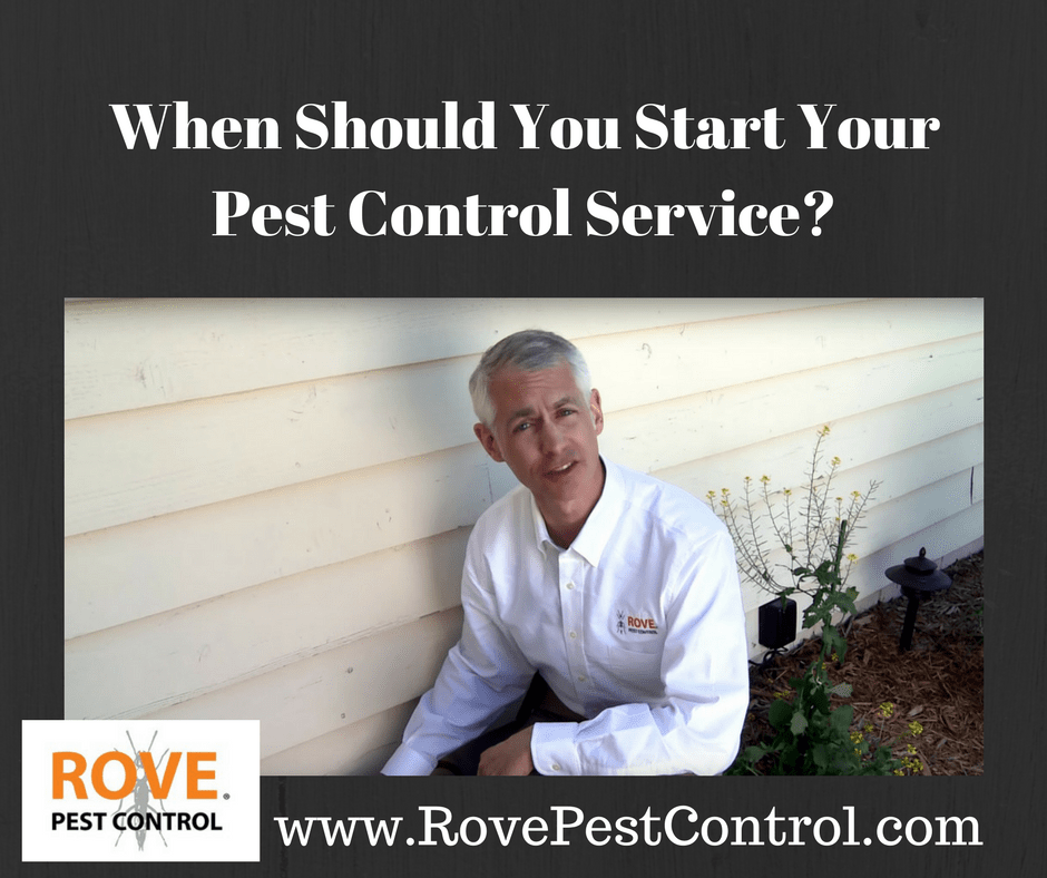 When Should You Start Your Pest Control Service Rove Pest Control