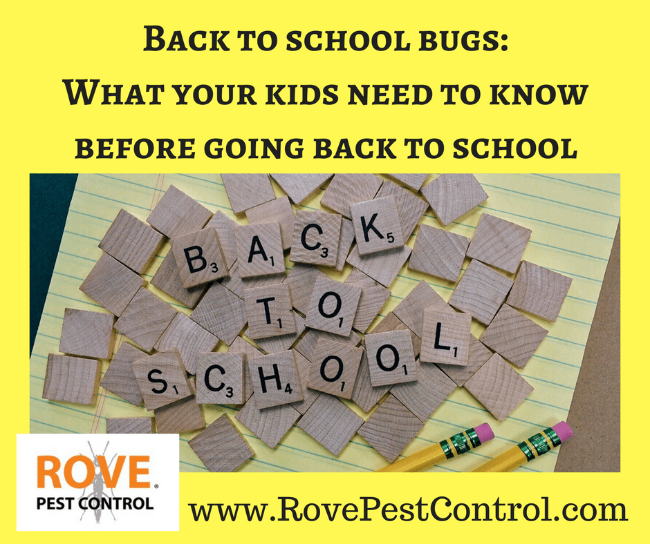 Back to school bugs: What your kids need to know before going back to ...