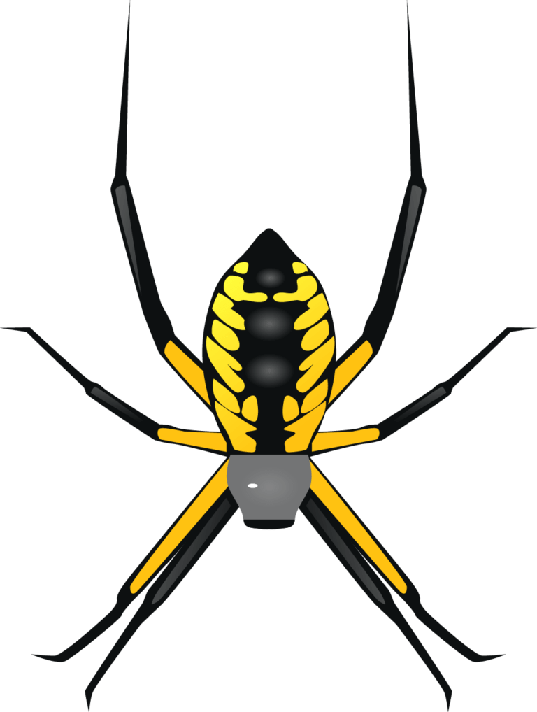 The Black and Yellow - Rove Pest Control